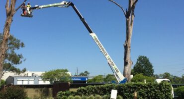 mistakes to avoid when hiring a cherry picker