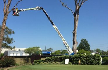mistakes to avoid when hiring a cherry picker