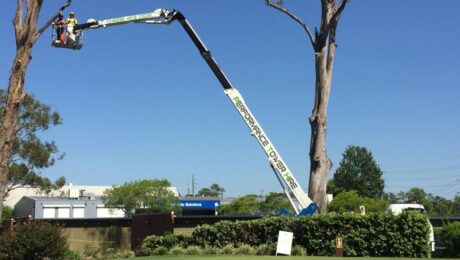 mistakes to avoid when hiring a cherry picker
